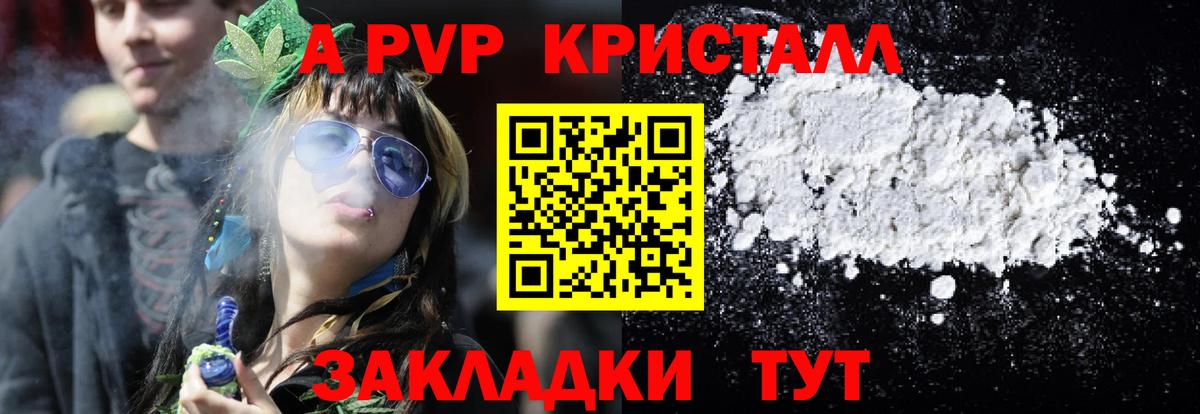 как найти закладки  Вход с VPN  Кингисепп  A PVP крисы CK  Alpha-PVP 