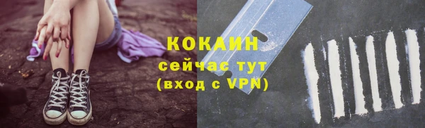 стаф Россошь