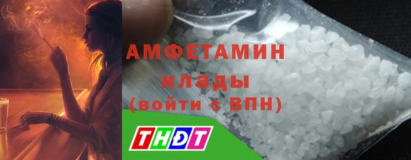 ПСИЛОЦИБИНОВЫЕ ГРИБЫ Абаза
