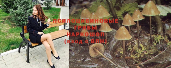 кокс Алзамай