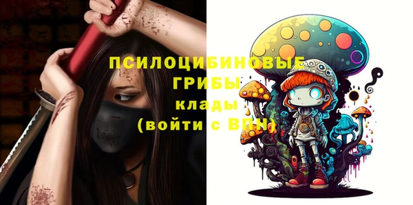индика Абинск