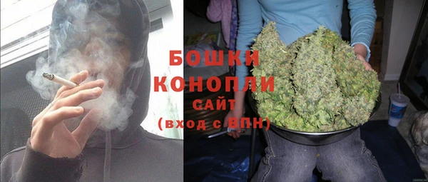 ПСИЛОЦИБИНОВЫЕ ГРИБЫ Абаза