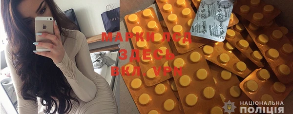 индика Абинск