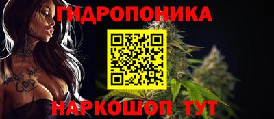 спиды Кунгур