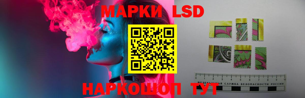 Кингисепп  ЛСД экстази кислота  Вход с VPN 