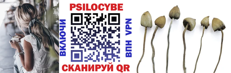 как найти   Кингисепп  Псилоцибиновые грибы ЛСД 