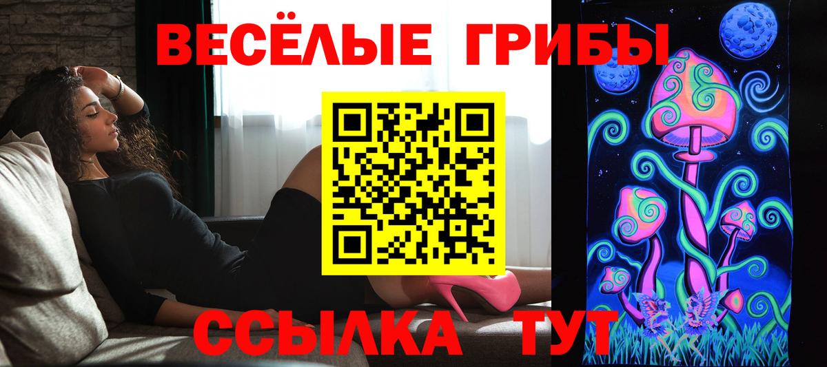 Галлюциногенные грибы Psilocybe  Вход с VPN  Кингисепп 